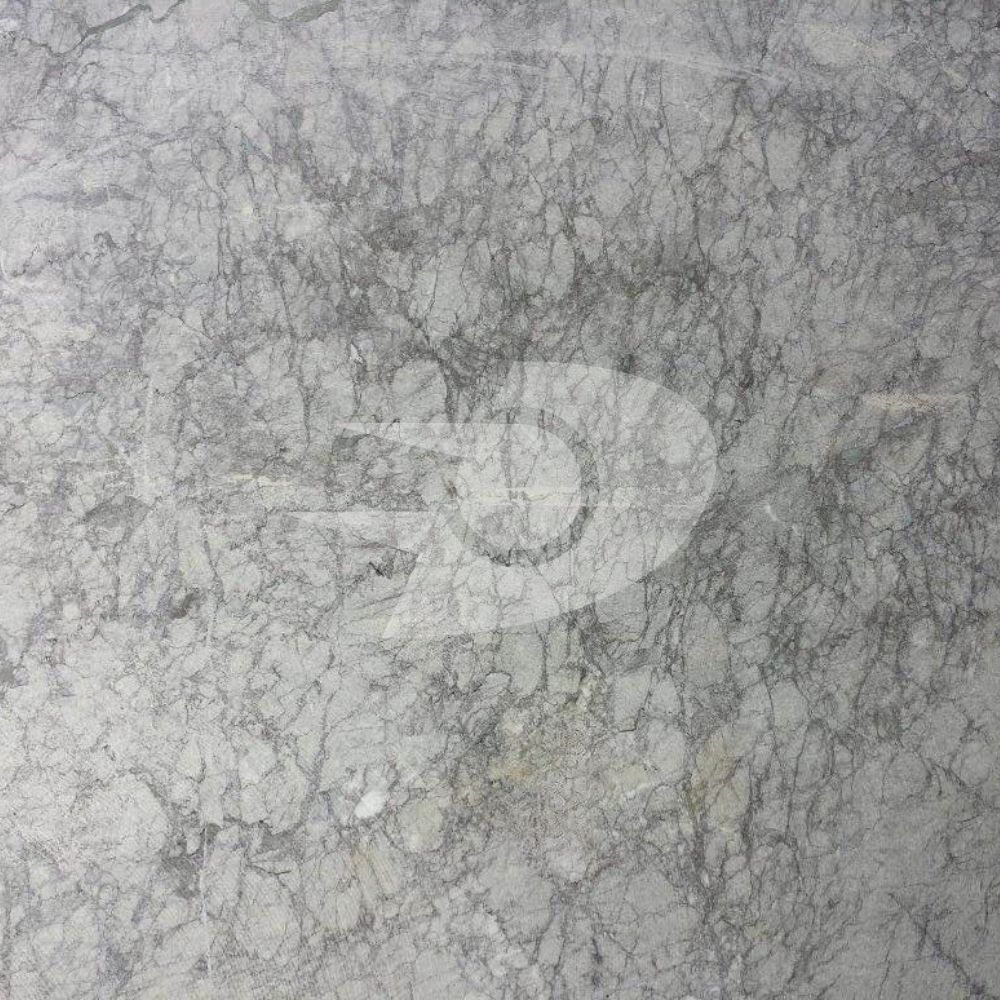 Spider Grey